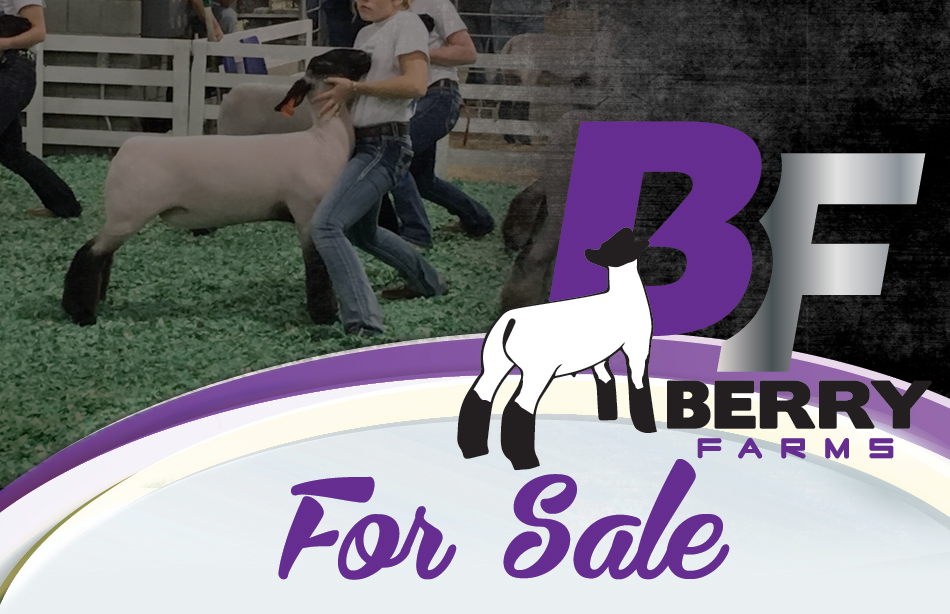 Berry Farms - For Sale